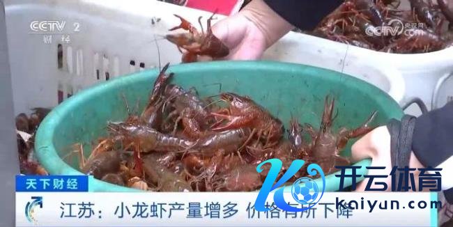 忽视一次食用小龙虾不超10只 不要食用野生小龙虾