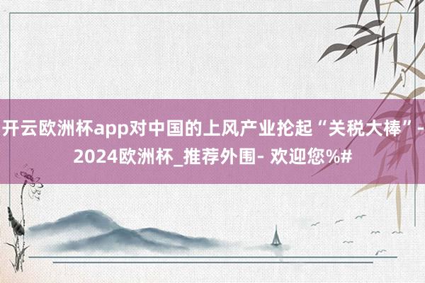 开云欧洲杯app对中国的上风产业抡起“关税大棒”-2024欧洲杯_推荐外围- 欢迎您%#