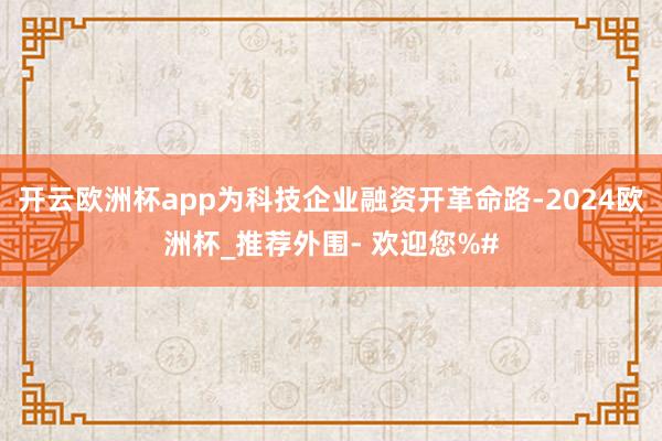 开云欧洲杯app为科技企业融资开革命路-2024欧洲杯_推荐外围- 欢迎您%#